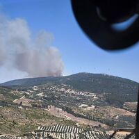 Manisa ve İzmir'de orman yangını!