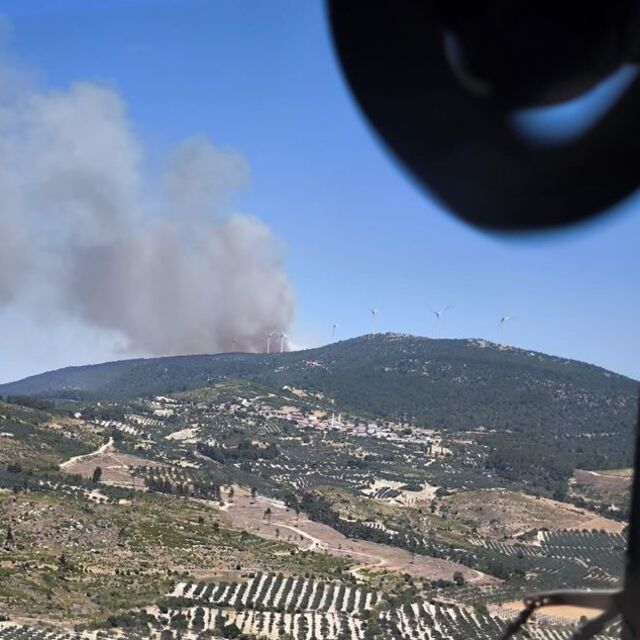 Manisa ve İzmir'de orman yangını!