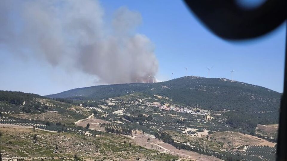 Manisa ve İzmir'de orman yangını!