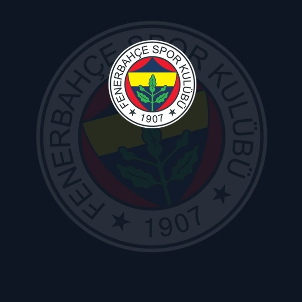 Fenerbahçe transferi açıkladı
