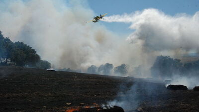 Türkiye'de orman yangınları!