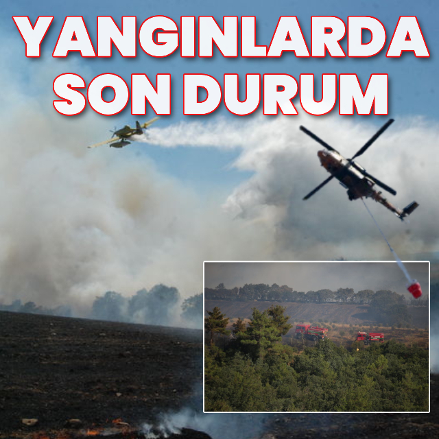 Türkiye'de orman yangınları!