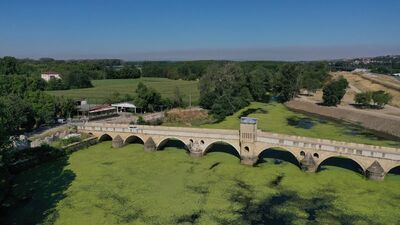 Yüzeyi yemyeşil oldu