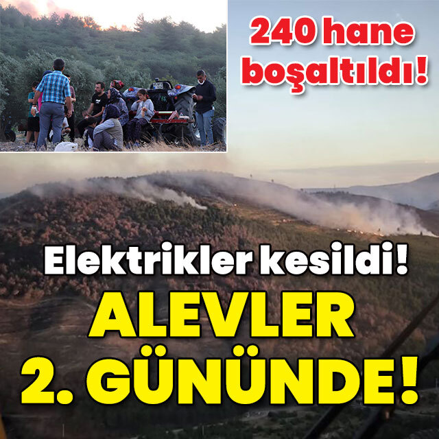 240 hane boşaltıldı! Elektrikler kesildi! Alevler 2. gününde!
