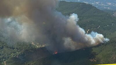 Türkiye'de orman yangınları!