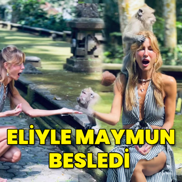 Eliyle maymun besledi