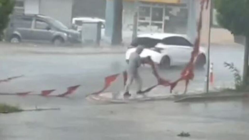 Bayrak aşkına!