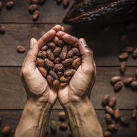 Kahve dışındaki 6 kafein kaynağı!