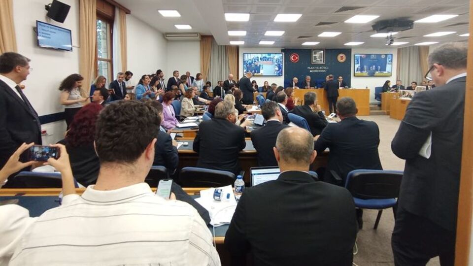 Sahipsiz hayvanlara yönelik kanun teklifi TBMM Komisyonunda