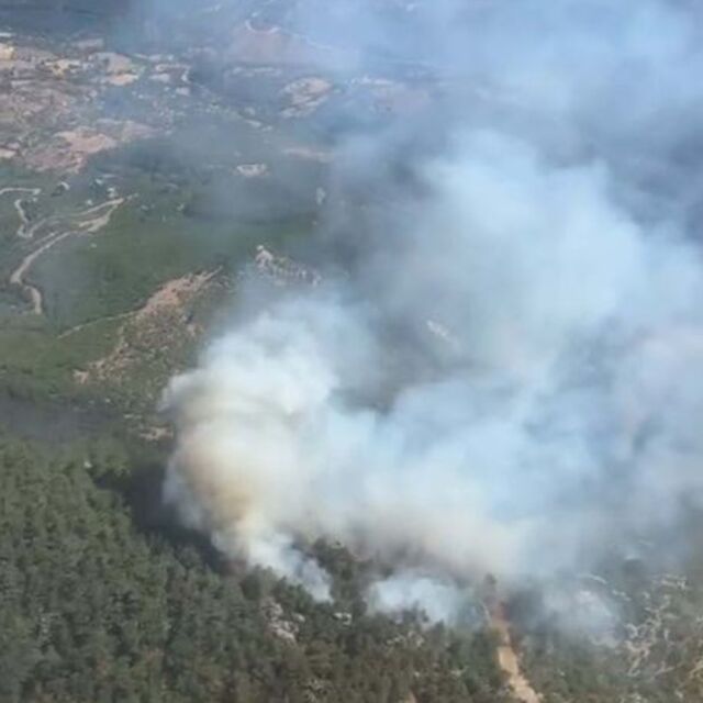 Bergama'daki orman yangını 2'nci gününde