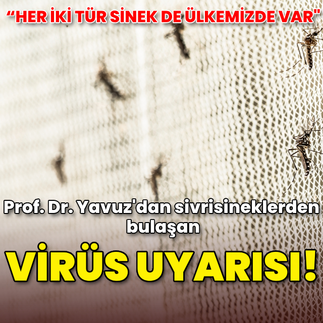 Prof. Dr. Yavuz'dan sivrisineklerden bulaşan virüs uyarısı