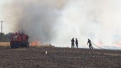 Silivri'de anız yangını!