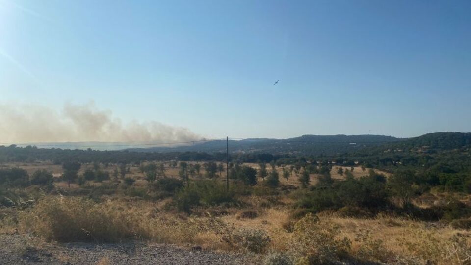 Ayvacık'ta orman yangını