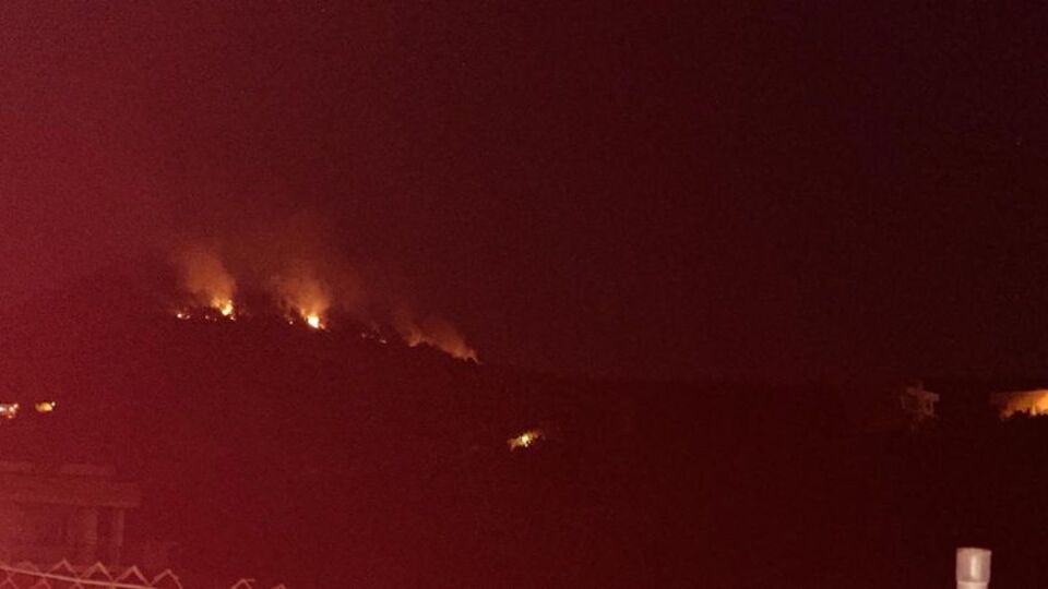 Adana'da korkutan orman yangını!