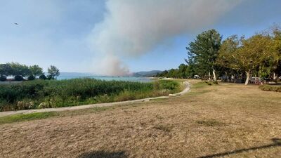Bursa'da orman yangını!