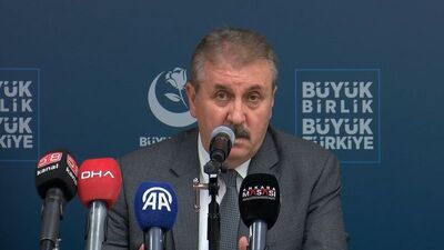 Destici: Sokaklarımız köpeklerden temizlenmeli