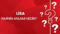 Lisa isminin anlamı nedir?