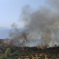 4 ilde orman yangını