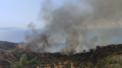 4 ilde orman yangını