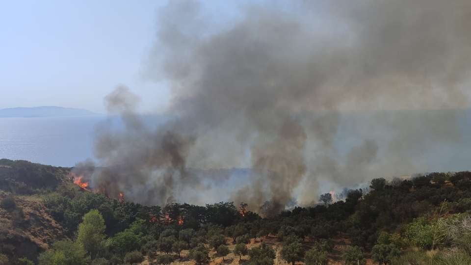 4 ilde orman yangını