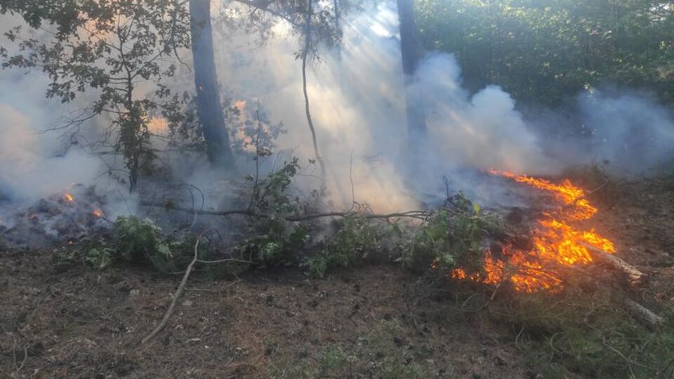 Balıkesir'de orman yangını