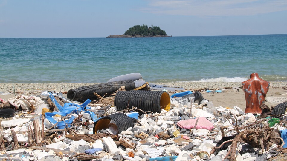 Ada manzaralı çöplük