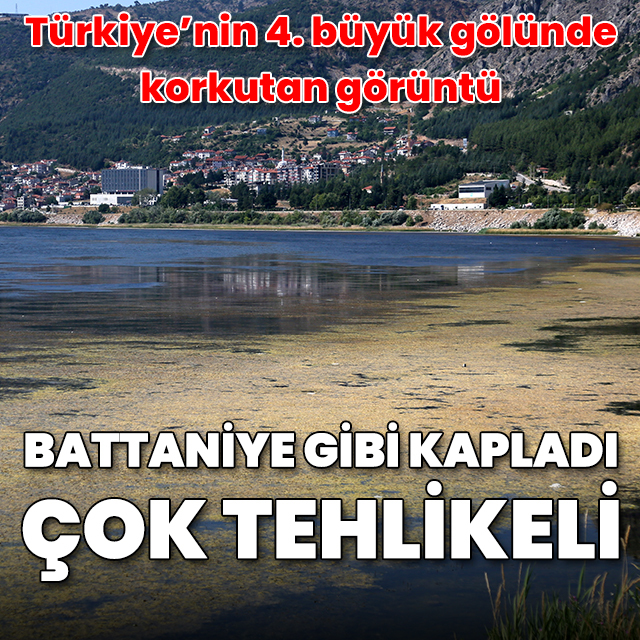 Eğirdir Gölü'nde korkutan görüntü: "Battaniye gibi kapladı, çok tehlikeli"