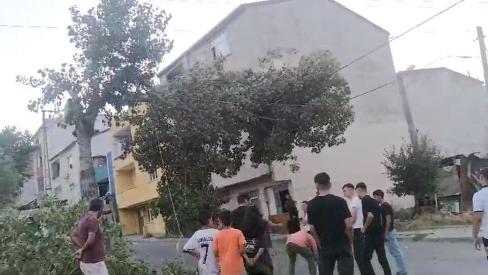 Kesilen ağaç, elektrik hattı üzerinde asılı kaldı!