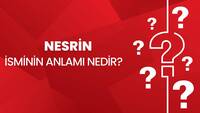 Nesrin isminin anlamı nedir?