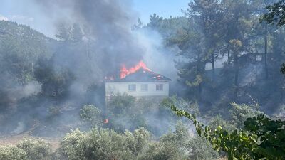 Evde başladı, ormana sıçradı!