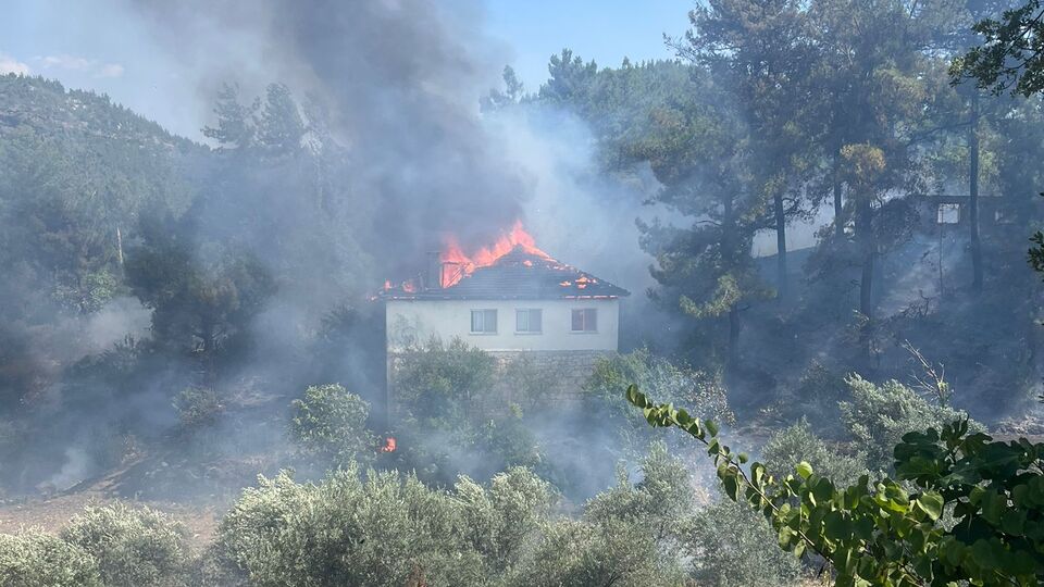 Evde başladı, ormana sıçradı!