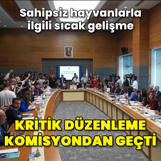 Kritik düzenleme komisyondan geçti