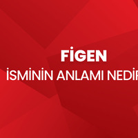 Figen isminin anlamı nedir?