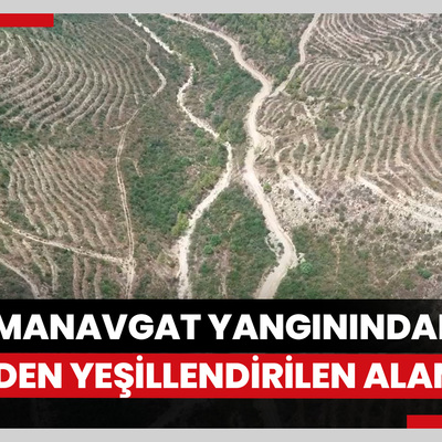 Manavgattaki yangının üçüncü yılında, yeşillendirilen alanlar havadan görüntülendi