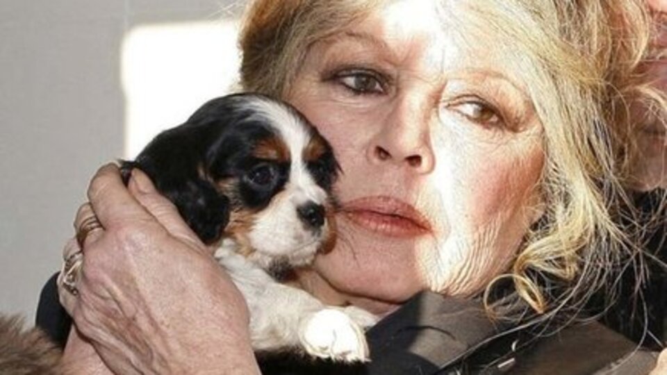 B.B'den Cumhurbaşkanı Erdoğan'a mektup