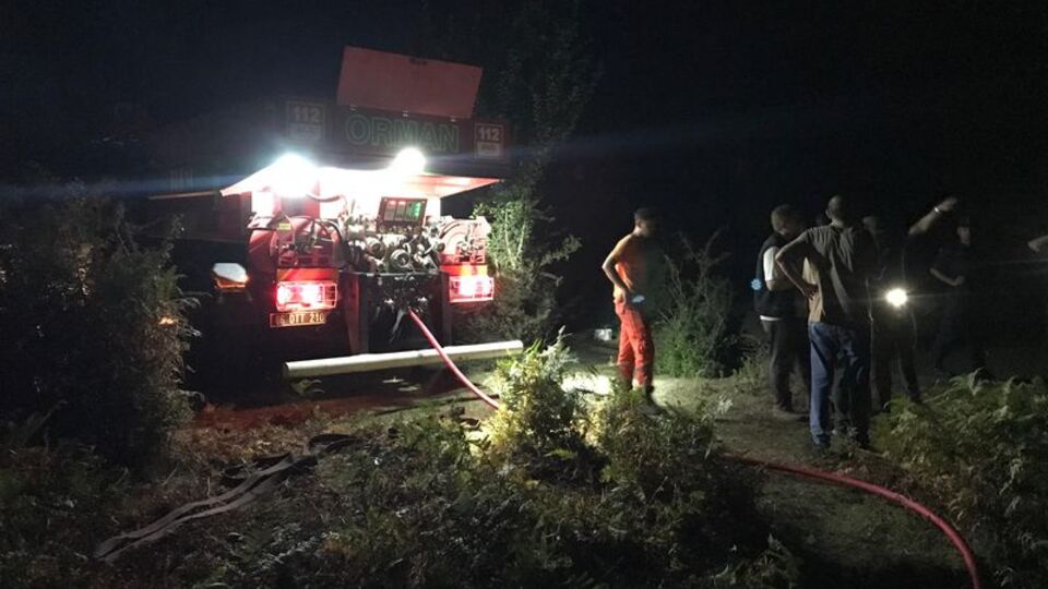 Sakarya'da ormanlık alanda yangın çıktı