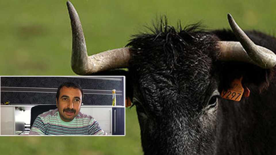 Beslemek için ahıra girdi!