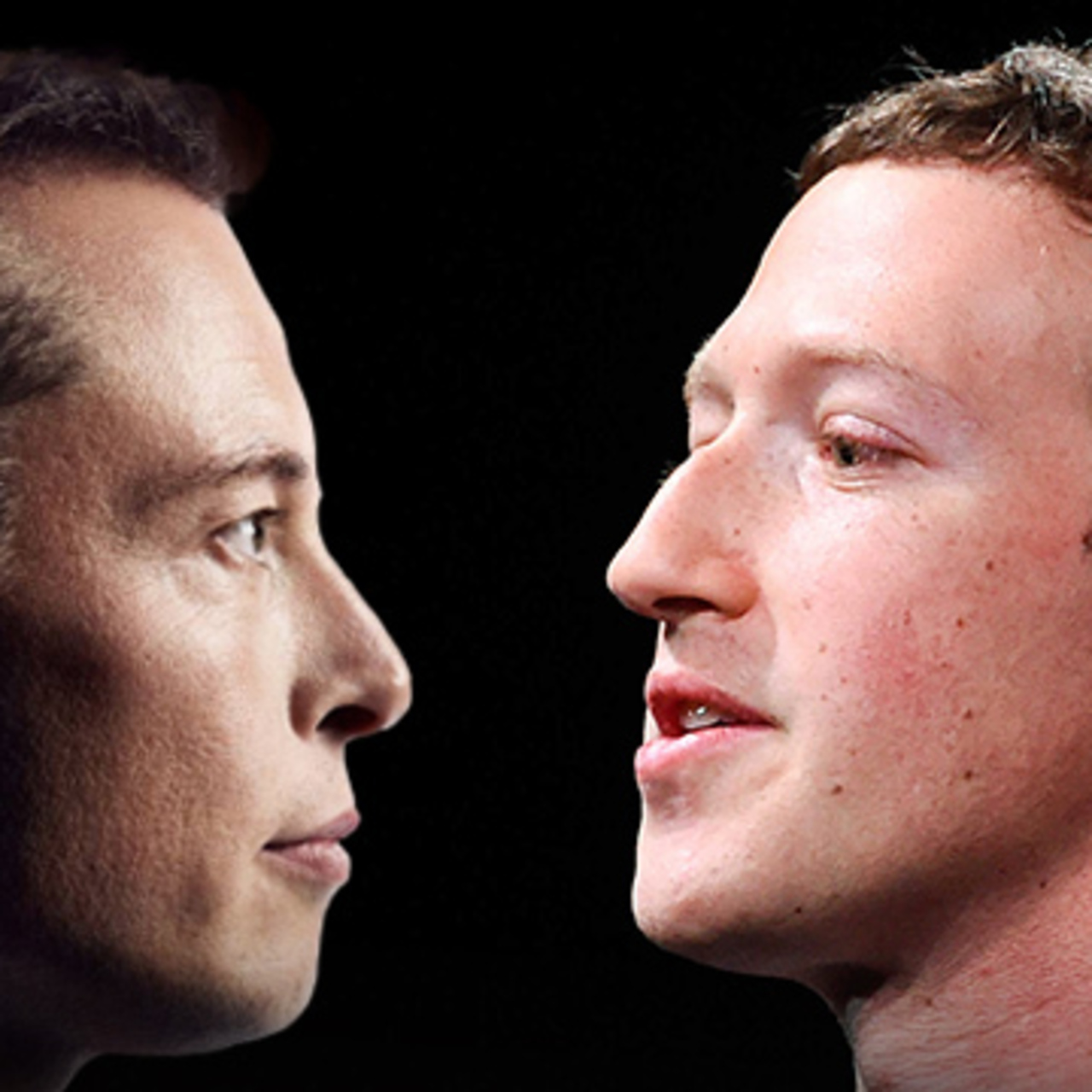Musk'tan yine kafes dövüşü çağrısı!