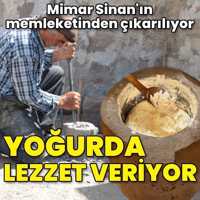Mimar Sinan'ın memleketinden çıkıyor! Yoğurda lezzet veriyor