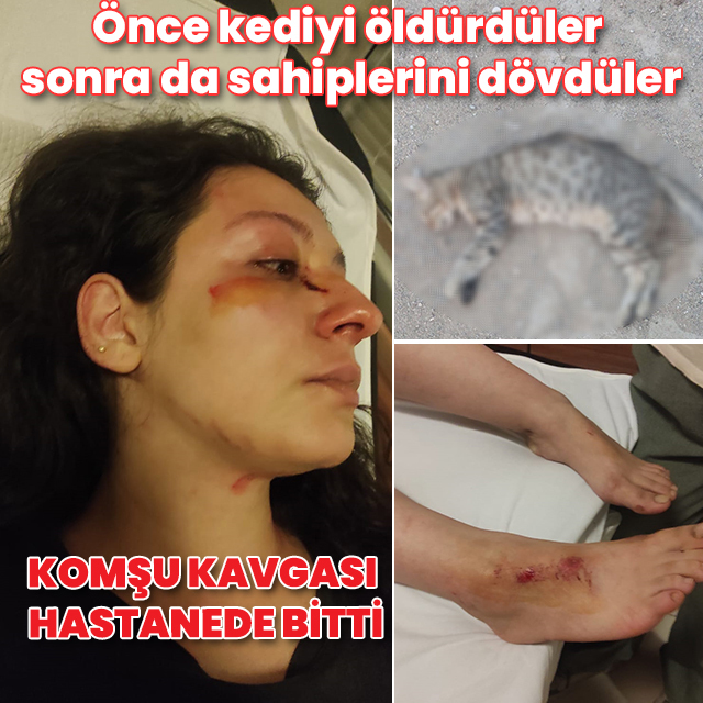 Komşu kavgası hastanede bitti: Önce kediyi öldürdüler sonra da sahiplerini dövdüler