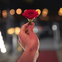 2 adet gülün anlamı nedir?