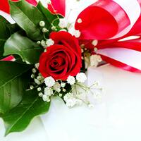 3 adet gülün anlamı nedir?