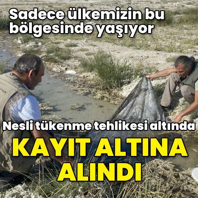 Kayıt altına alındı! Sadece bu bölgemizde görülüyor