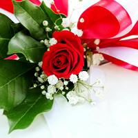 36 adet gülün anlamı nedir?