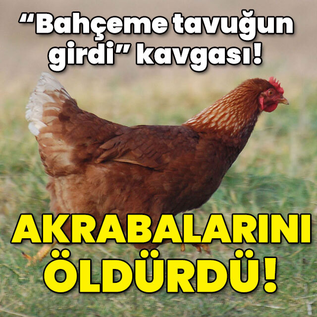 "Bahçeme tavuk girdi" kavgası! Akrabalarını öldürdü!