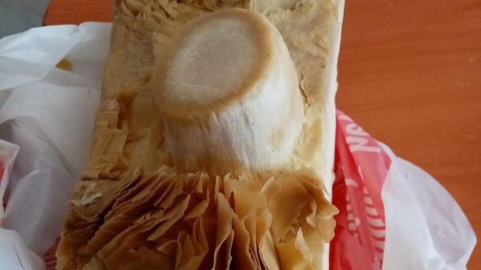 12 kişi mantardan zehirlendi