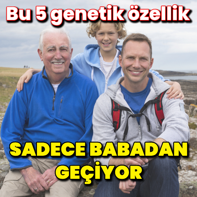 Sadece babadan geçebilen 5 genetik özellik!