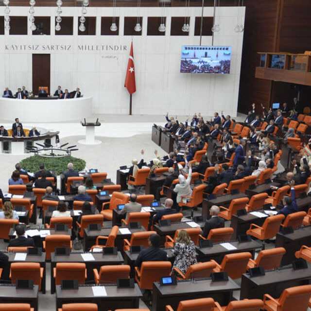 Sokak hayvanları düzenlemesinde ilk 5 madde kabul edildi