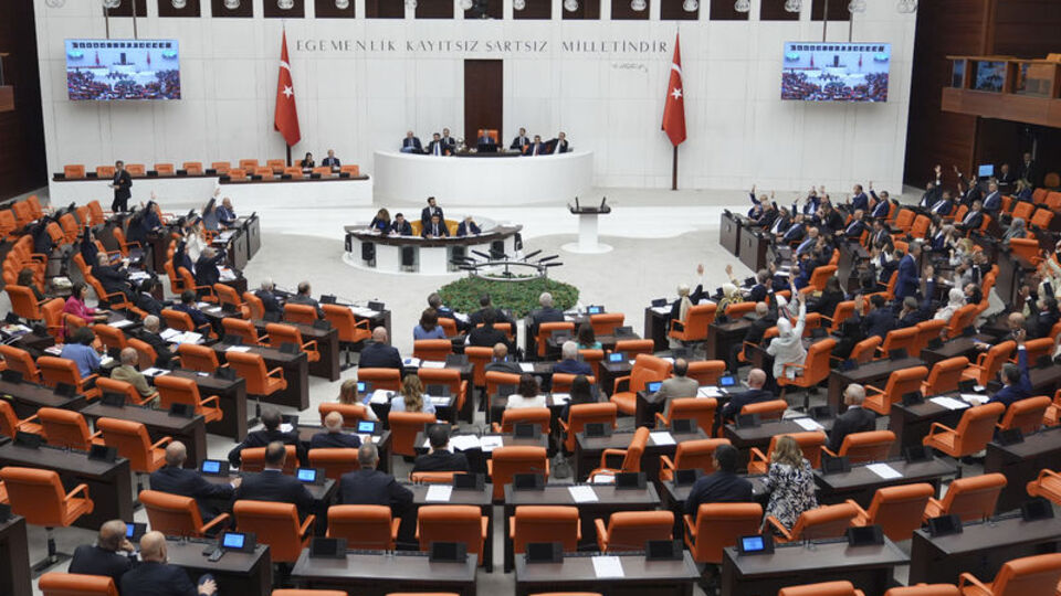 Sokak hayvanları düzenlemesinde ilk 5 madde kabul edildi