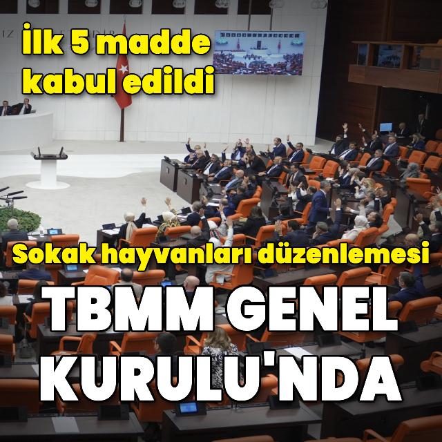 Sokak hayvanları düzenlemesinde ilk 5 madde kabul edildi
